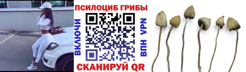 наркошоп  это какой сайт  MEGA вход  Галлюциногенные грибы мицелий  Гаврилов Посад 